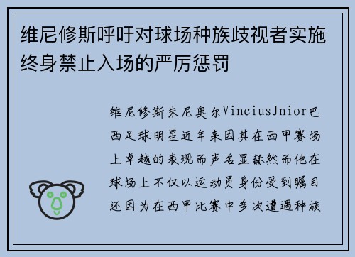 维尼修斯呼吁对球场种族歧视者实施终身禁止入场的严厉惩罚 维尼修斯呼吁对球场种族歧视者实施终身禁止入场的严厉惩罚